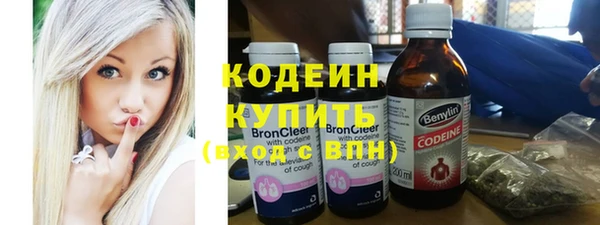 ГАЛЛЮЦИНОГЕННЫЕ ГРИБЫ Богданович