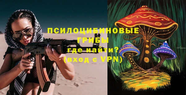 ГАЛЛЮЦИНОГЕННЫЕ ГРИБЫ Богданович