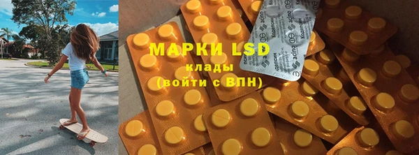 ГАЛЛЮЦИНОГЕННЫЕ ГРИБЫ Богданович