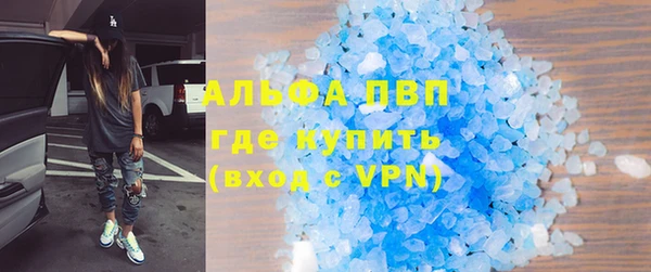 ГАЛЛЮЦИНОГЕННЫЕ ГРИБЫ Богданович