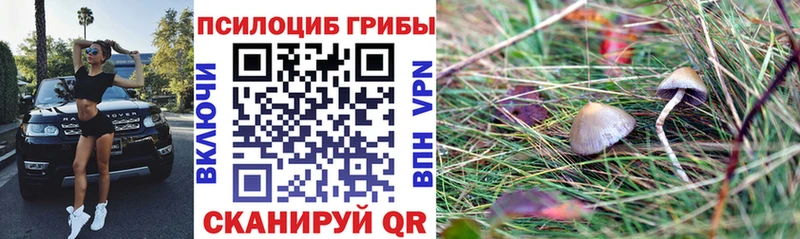 Псилоцибиновые грибы Psilocybine cubensis  Демидов 